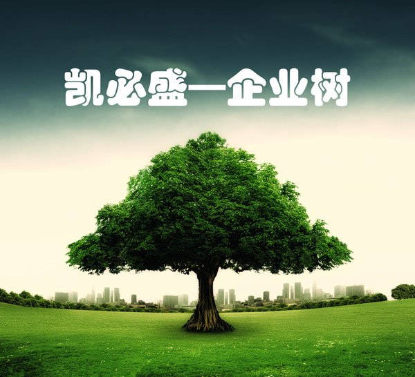 2016凯必盛中高层管理者培训